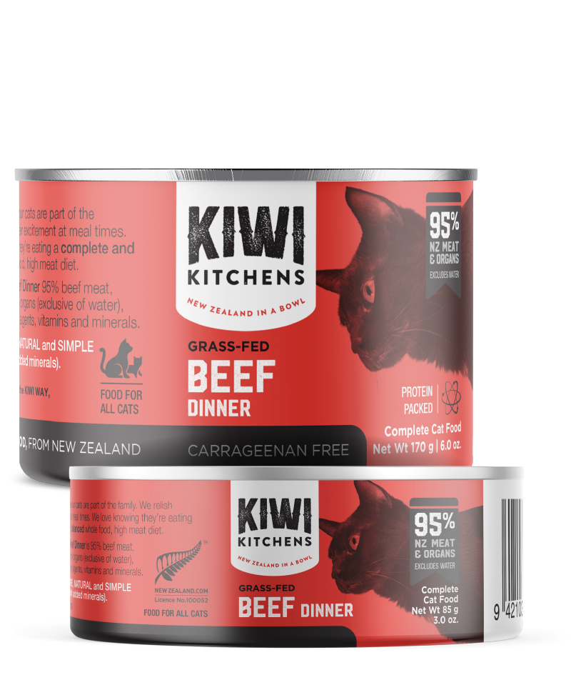 Canned Beef Dinner Catfood